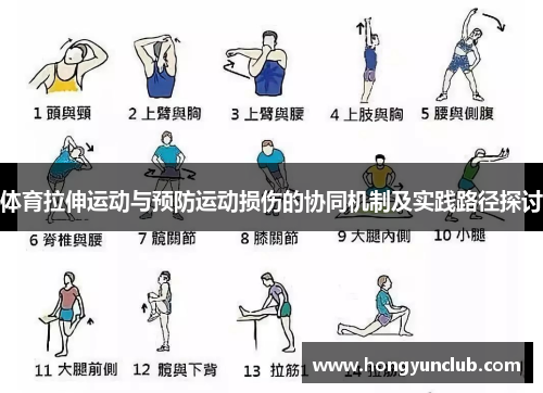 体育拉伸运动与预防运动损伤的协同机制及实践路径探讨