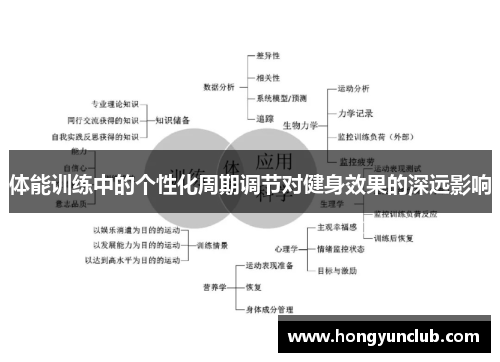 体能训练中的个性化周期调节对健身效果的深远影响